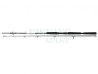 Rod Daiwa BG Offshore Pilk 2.70m 40-125g