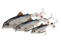 Savage Gear Lures 3D SmashTail Minnow