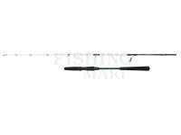 Wędka Penn Battalion III Jigging Spinning 1.83m max 250g