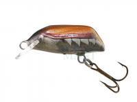 Dorado Hard lures Beetle 3