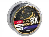 Jaxon Plecionki Black Horse 8X Catfish
