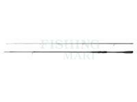 Rod Shimano Exsence Infinity 2.90m 9'6" 6-40g 2pc