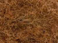 CDC Dubbing 0.5g - Dyed Pale Pardo