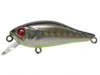 Wobler Pontoon21 Cheerful 40F SR - Dark Side CHB