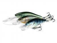 Salmo Executor lures