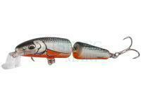 Salmo Fanatic