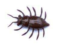 Przynęty miękkie FishUp Maybug 1.3" #074 - Green Pumpkin Seed
