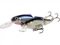 Salmo Lures Frisky