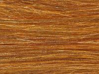 Future Fly Salmo Flash - Cinnamon Brown