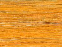 Future Fly Salmo Flash - Orange