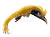Veniard Bażant złocisty Golden Pheasant Topping Crest