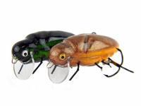 Microbait Hard lures Great Beetle
