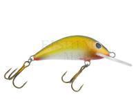 Hard bait Gloog Hektor 50NS-RY