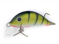 Gloog Hard lure Hektor SR