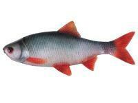 Soft Baits Fox Rage Ultra Natural Fillets 8cm - Roach