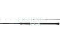 Rod Shimano Salty Advance Spinning 3.05m 10'0" Shore JIG100g 2pc