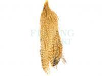 Połówka kapki szyjnej koguta Metz Cock Half Neck #2 - 1/2 Barred Ginger