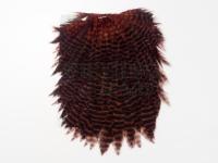 Kapki Hareline Dubbin Hen Saddle - 178 Grizzly Dyed Brown