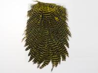Kapki Hareline Dubbin Hen Saddle - 179 Grizzly Dyed Olive