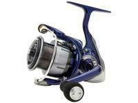 Daiwa 24 TDR Match & Feeder *