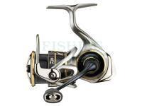 Daiwa reels, new Polish lures and many new products 2021