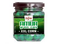 Carp Zoom Kukurydza Amur XXL Corn