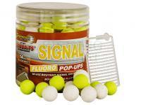 StarBaits Kulki Pop Up Concept Fluo Signal