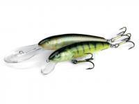 Salmo Minnow lures