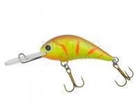 Gloog Hard lure Parys