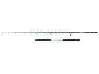 Wędka Penn Prevail III Light Jigging Spin 2.04m max 120g