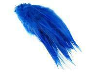Rooster Saddle Feather - King Fisher Blue