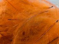 Pióra Gęsi FMFly Goose CDC 1G - Dyed Rusty