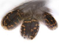 Veniard Feather - loosely (Woodcock, Grouse)