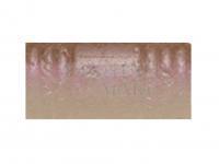 Przynęta Tiemco PDL Locoism Flexy Shad 3.5 cale | Shrimp Flavor - 226