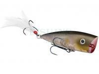 Strike King Lures KVD Splash