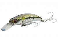 Savage Gear Gravity Runner lures