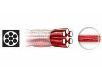 Przypony Dragon Surflon 1x7 Invisible Red A.F.W 30cm 13kg