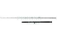 Rod Savage Gear Defiance SG2 Jigging Cast 1.80m max 250g