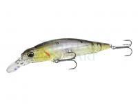 DUO Realis Rozante 77SP lures