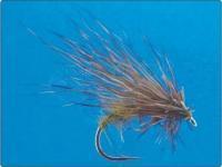 Scallywag Murrough nr 10