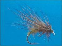 Scallywag Murrough nr 14