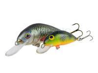 Dorado Scout