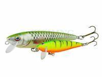 Dorado Hard lures Tender