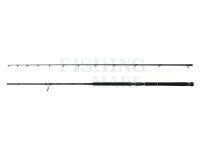 Rod Savage Gear Defiance SG2 Shore Jigging 2.90m 20-80g