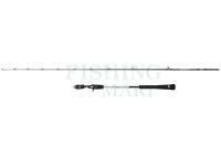 Penn Wędka Prevail III Light Jigging Cast