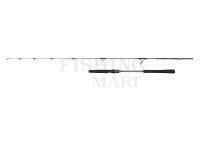 Penn Regiment IV Light Jig Spinning