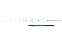 Penn Battalion III Jigging Casting