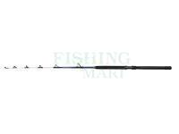 Penn Battalion III Trolling Casting