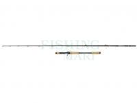 Abu Garcia Beast Pro Pelagic Casting Rod