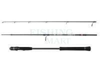 Penn Wędki Overseas XT II Light Jigging